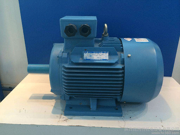 高效節(jié)能電機(jī)是西安泰富西瑪未來商業(yè)發(fā)展的方向。