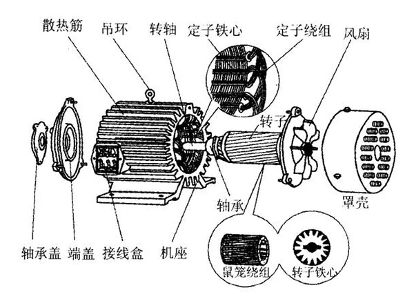三相異步電動(dòng)機(jī)的六種分類方法及具體分類。